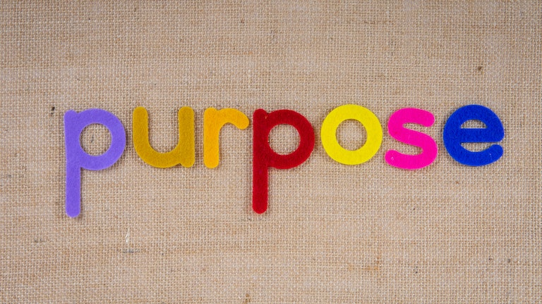 How to find purpose of life perfectly by mayur mewada